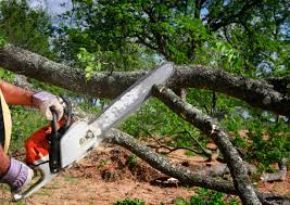 Trusted Roeland Park, KS Tree Removal and Landscaping Services Experts